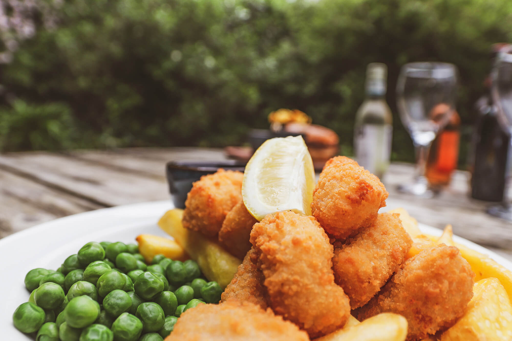 Scampi-3